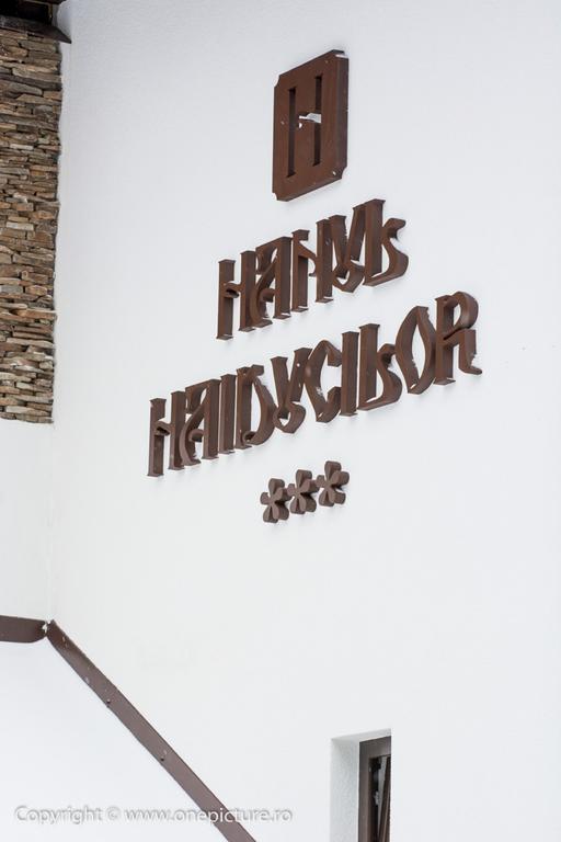 Hanul Haiducilor Obarsia Lotrului Exterior foto